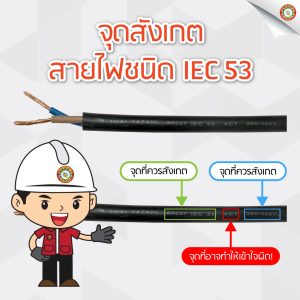 สายไฟชนิด IEC53