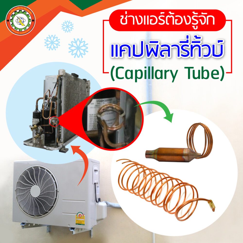 แคปพิลารี่ทิ้วบ์